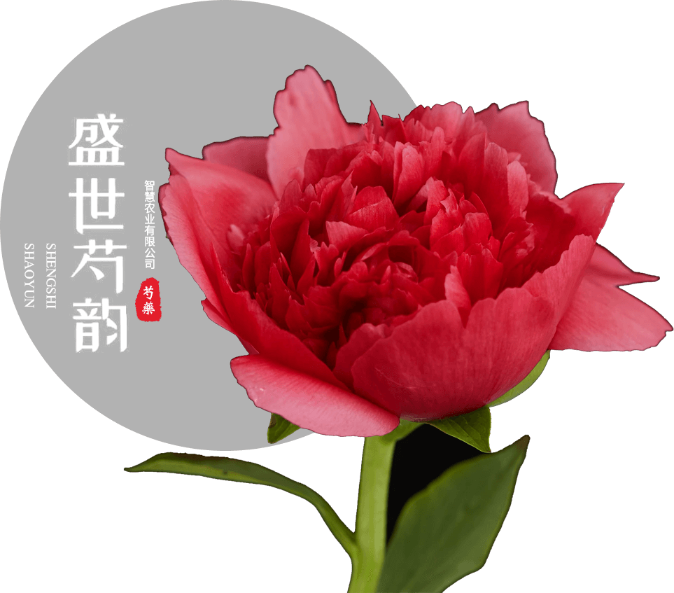 山东盛世芍花智慧农业有限公司