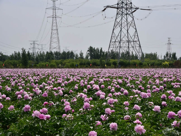 生产基地